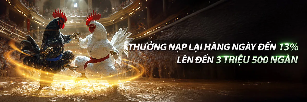 Chương Trình VIP xoxo66 nhà cái